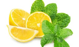 Natural Lemon & Mint